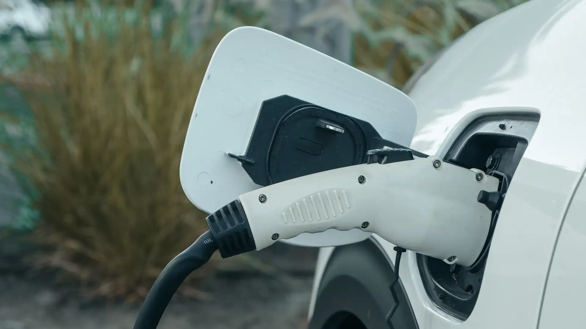 Hybrid vs Electric: Which Makes More Sense in NZ Right Now